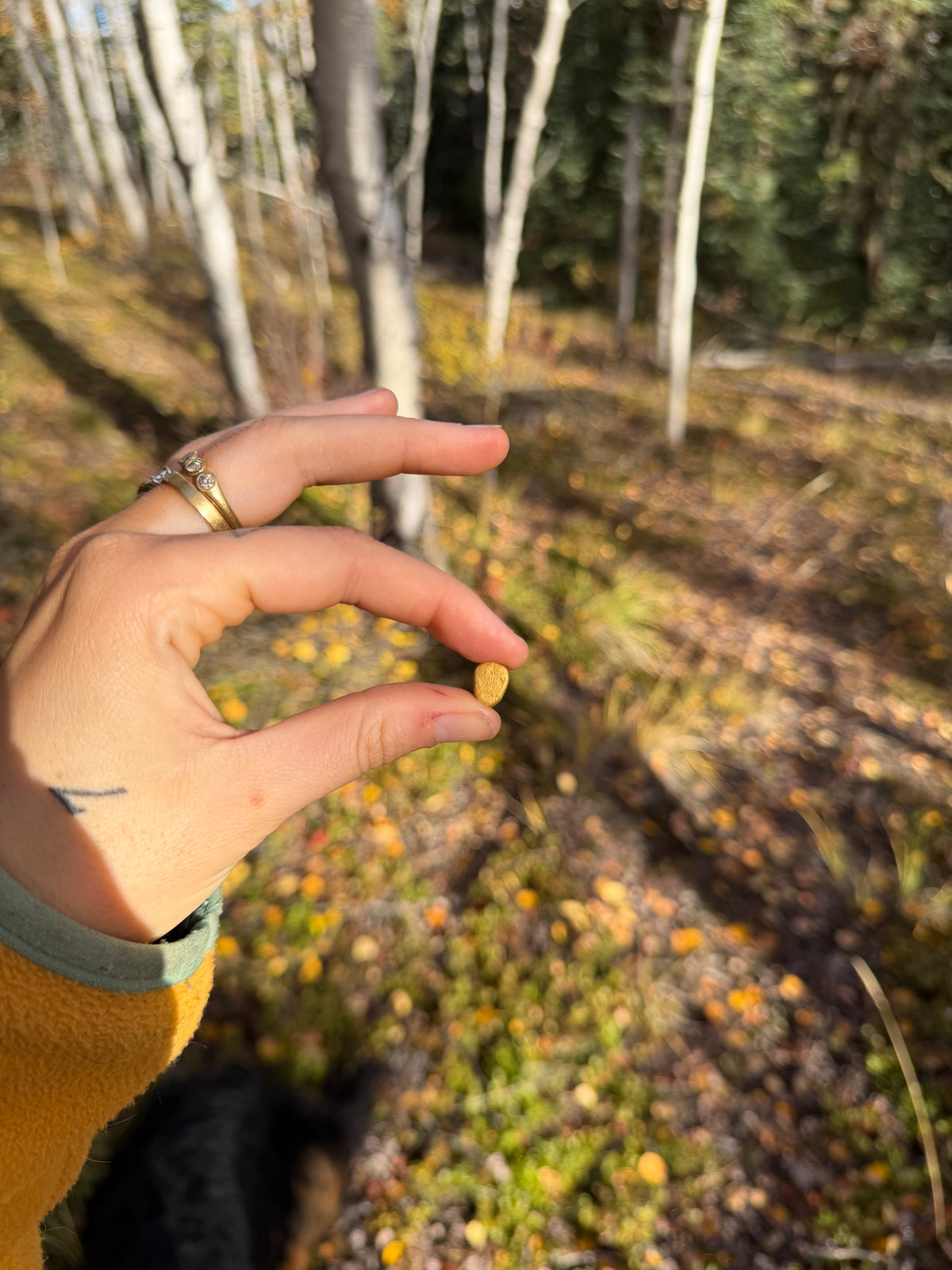 2.1 gram Klondike Gold Nugget - September Drop — 2.1 g natural gold nugget