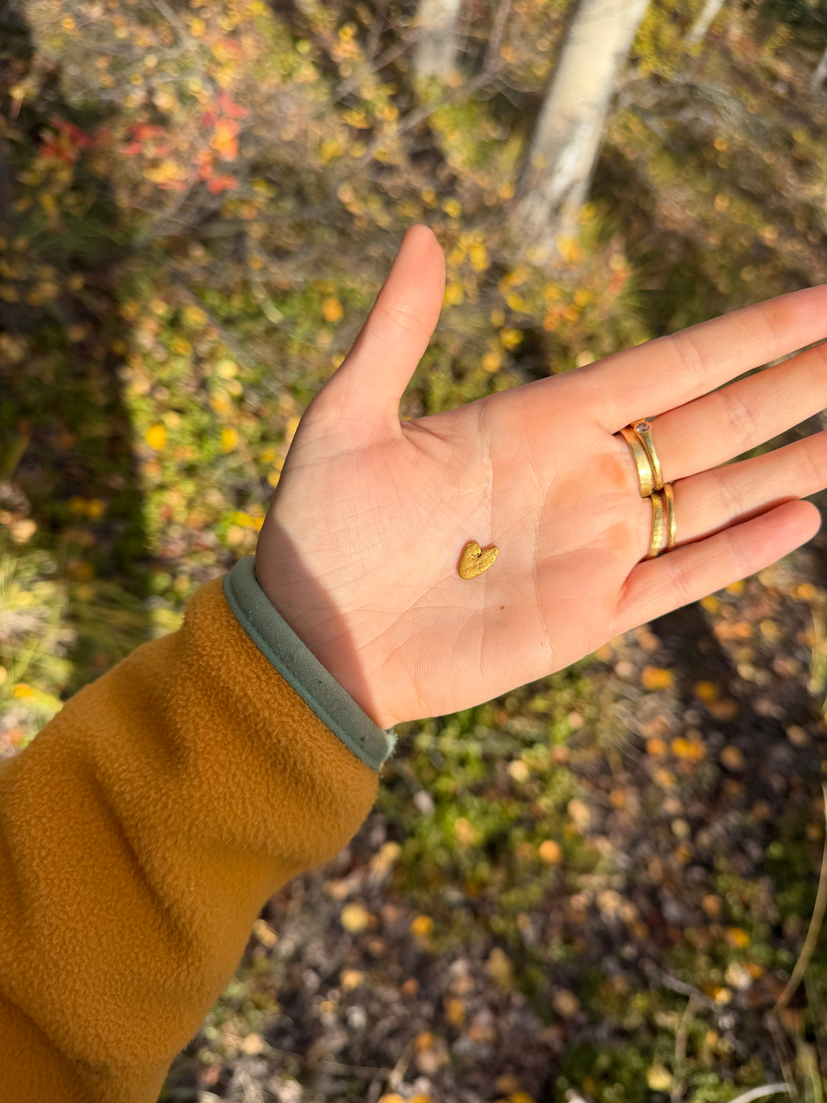 2 gram Klondike Gold Nugget - September Drop — 2 g natural gold nugget
