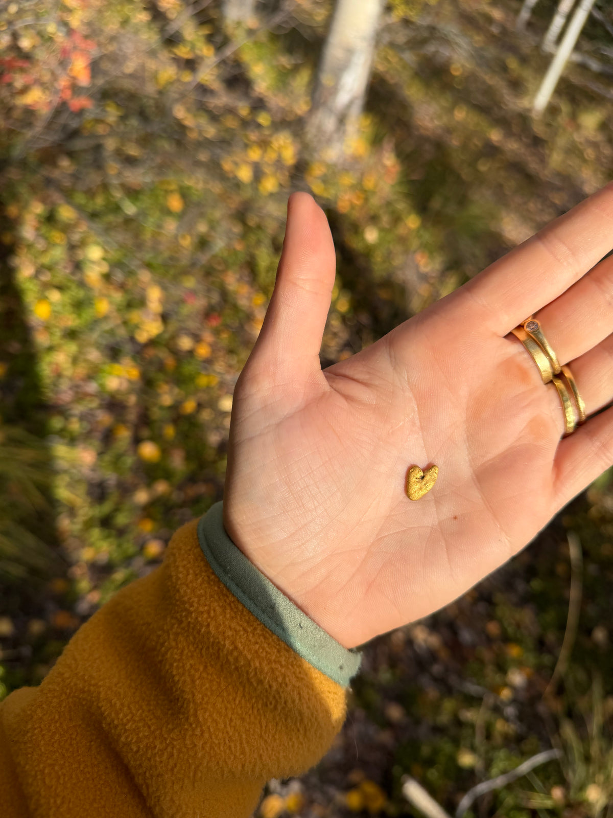 2 gram Klondike Gold Nugget - September Drop — 2 g natural gold nugget