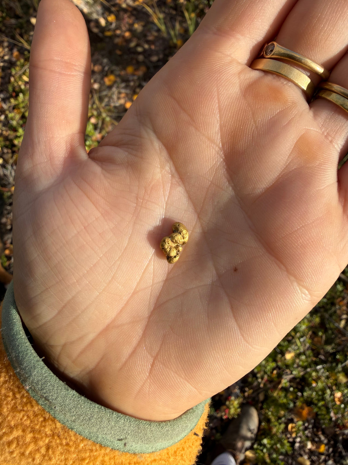2.3 gram Klondike Gold Nugget - September Drop — 2 g natural gold nugget