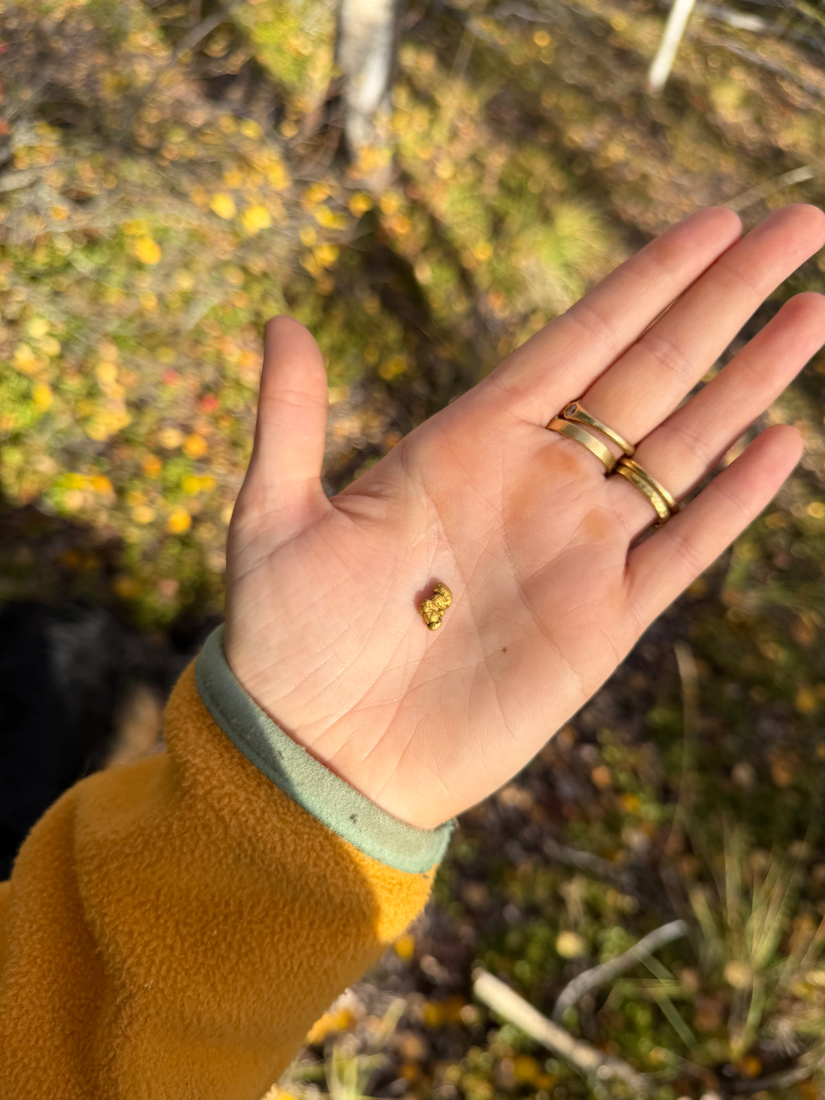 2.3 gram Klondike Gold Nugget - September Drop — 2 g natural gold nugget