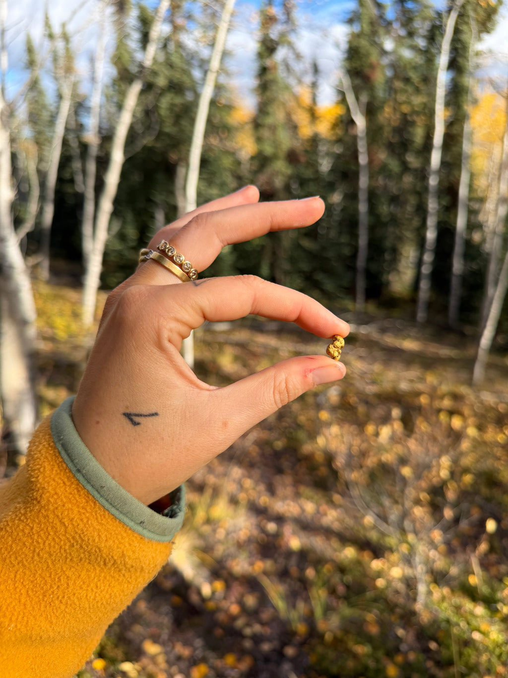 2.3 gram Klondike Gold Nugget - September Drop — 2 g natural gold nugget