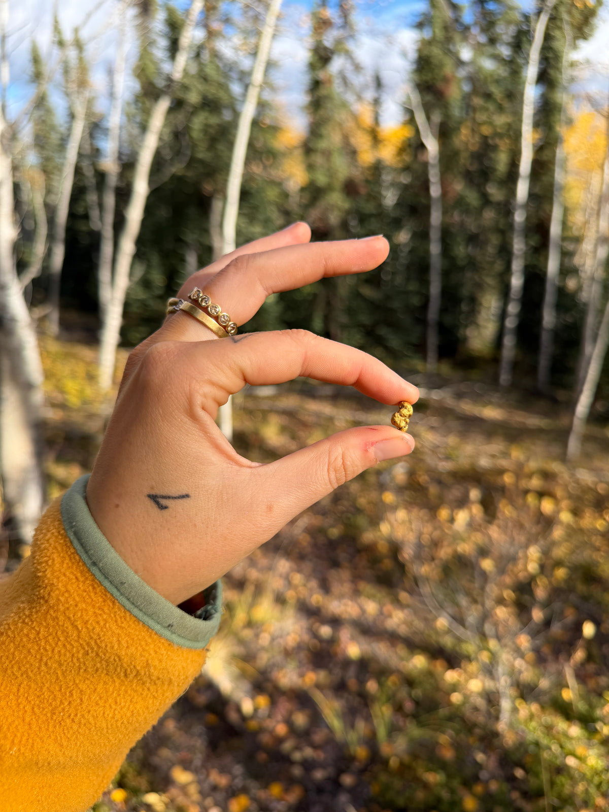 2.3 gram Klondike Gold Nugget - September Drop — 2 g natural gold nugget