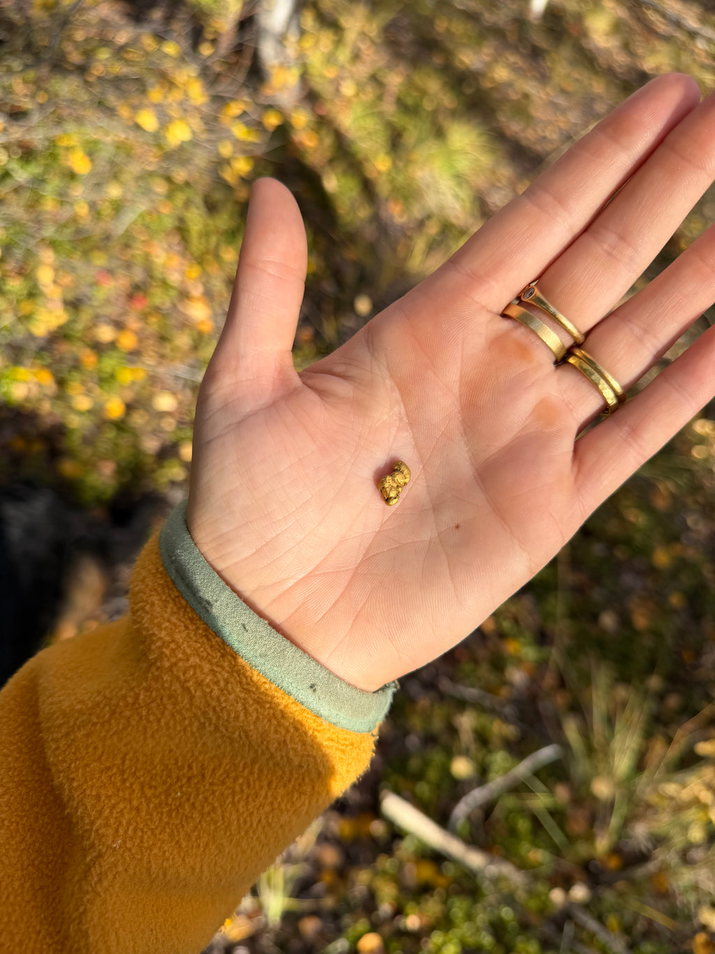2.3 gram Klondike Gold Nugget - September Drop — 2 g natural gold nugget