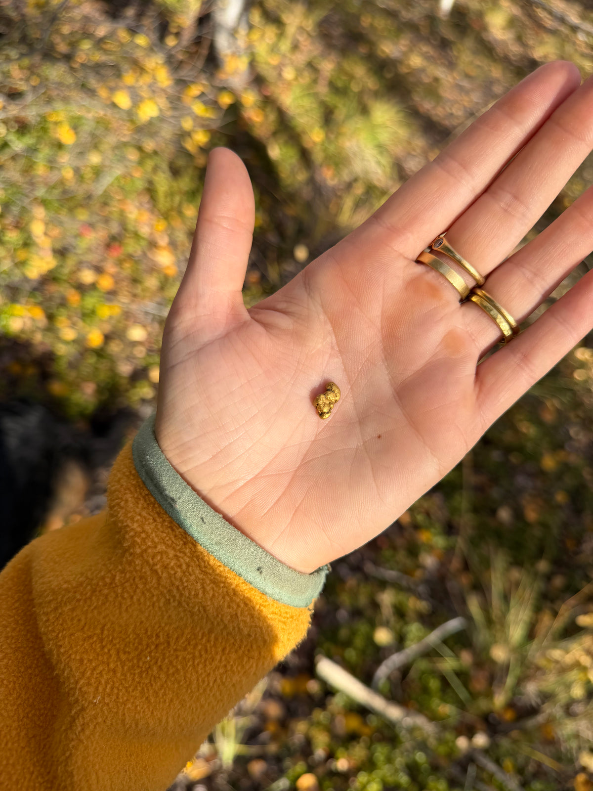 2.3 gram Klondike Gold Nugget - September Drop — 2 g natural gold nugget