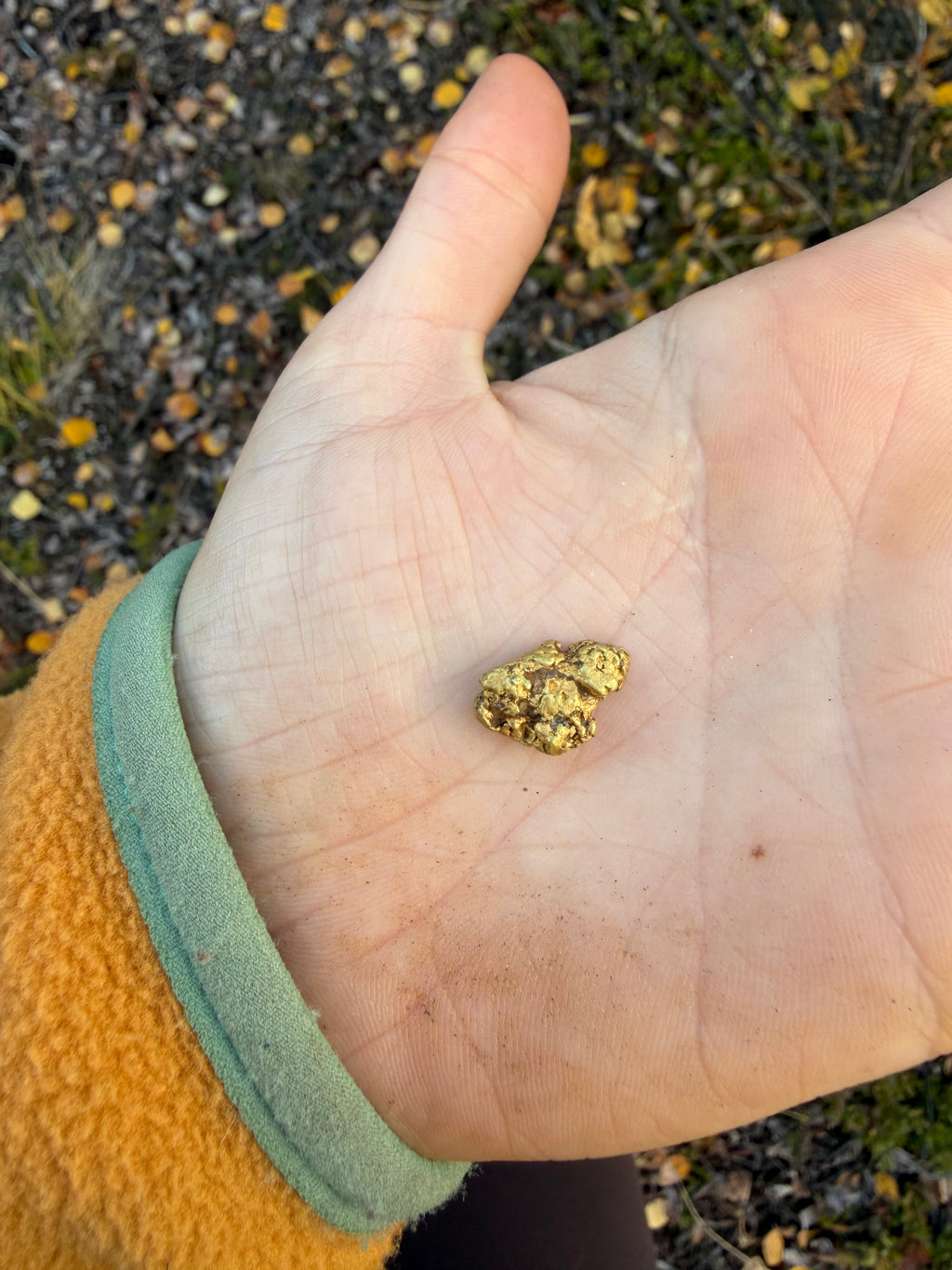 4.1 gram Klondike Gold Nugget - September Drop — 4.1 g natural gold nugget