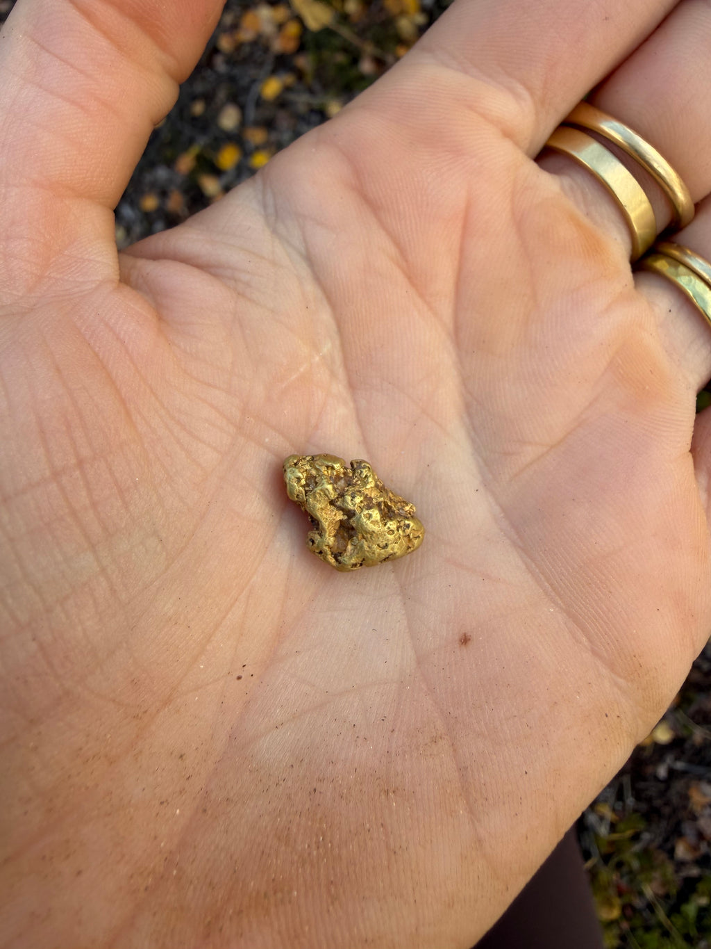 4.1 gram Klondike Gold Nugget - September Drop — 4.1 g natural gold nugget