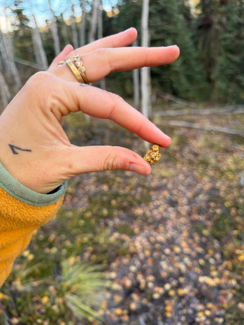 4.1 gram Klondike Gold Nugget - September Drop — 4.1 g natural gold nugget