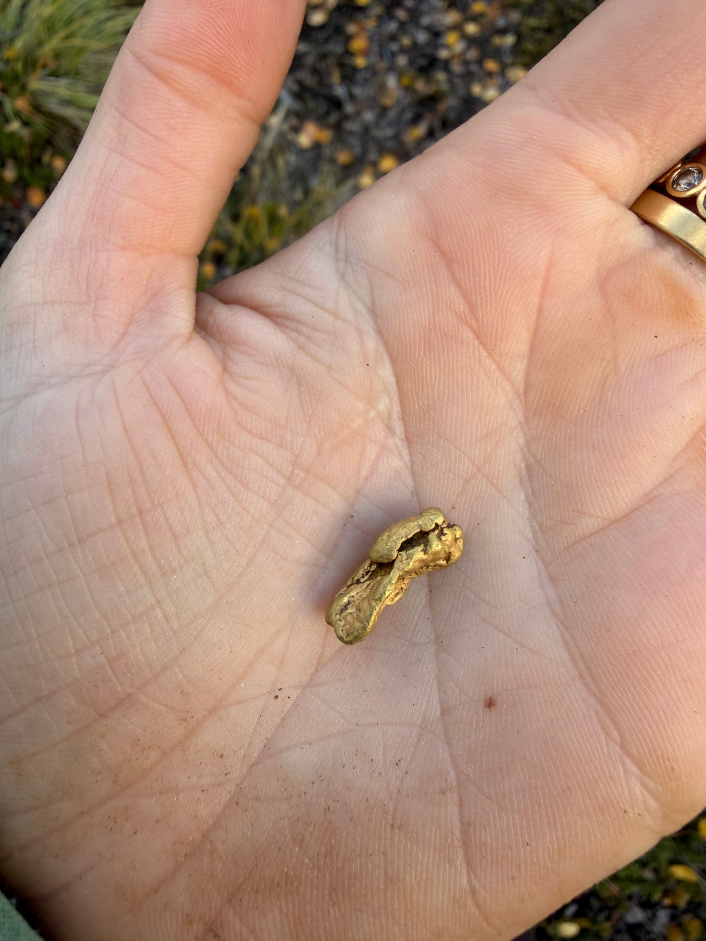 3.7 gram Klondike Gold Nugget - September Drop — 3.7 g natural gold nugget