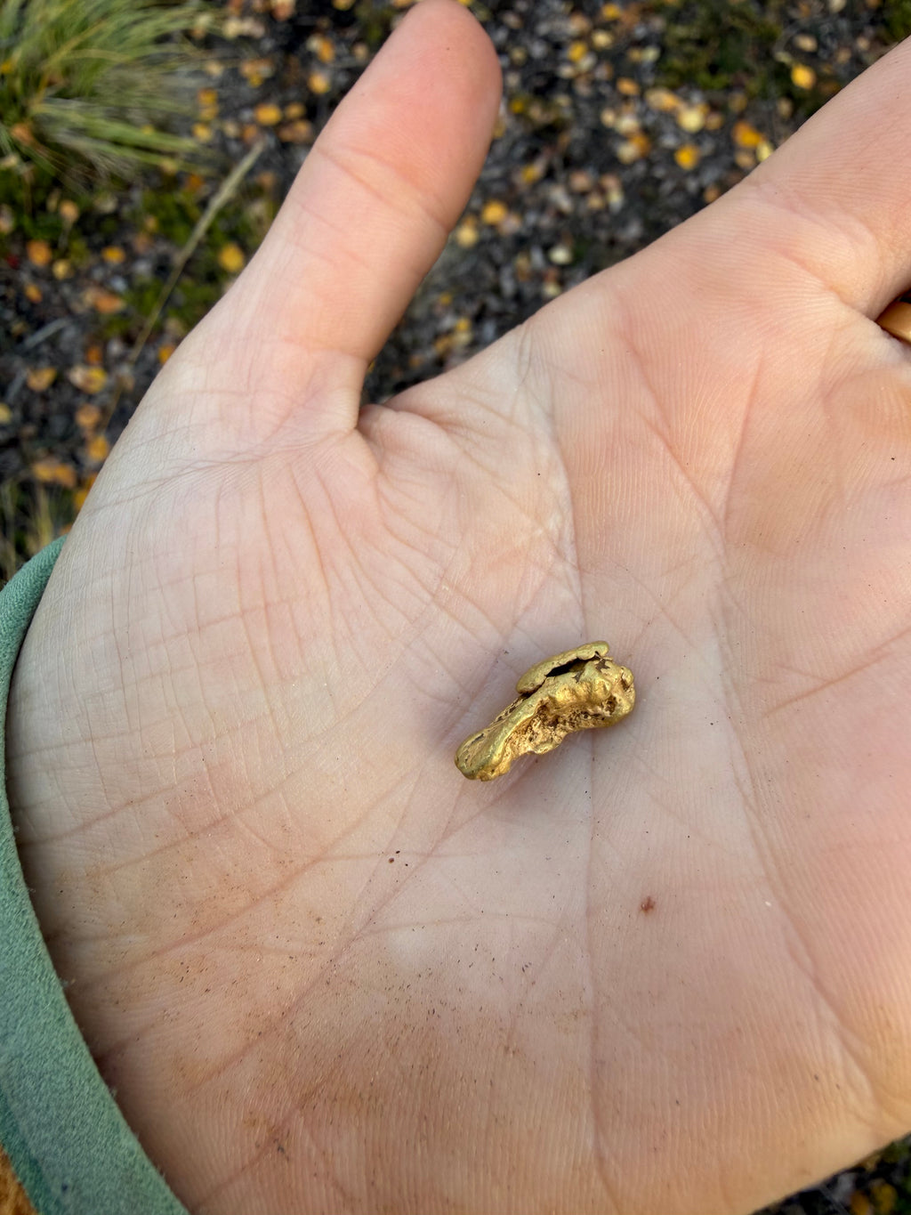 3.7 gram Klondike Gold Nugget - September Drop — 3.7 g natural gold nugget