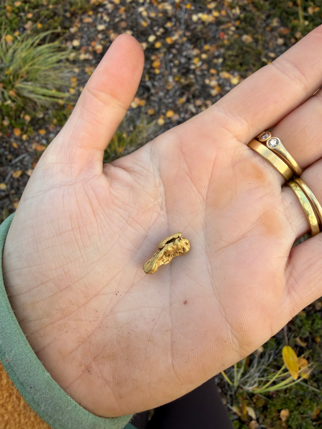 3.7 gram Klondike Gold Nugget - September Drop — 3.7 g natural gold nugget