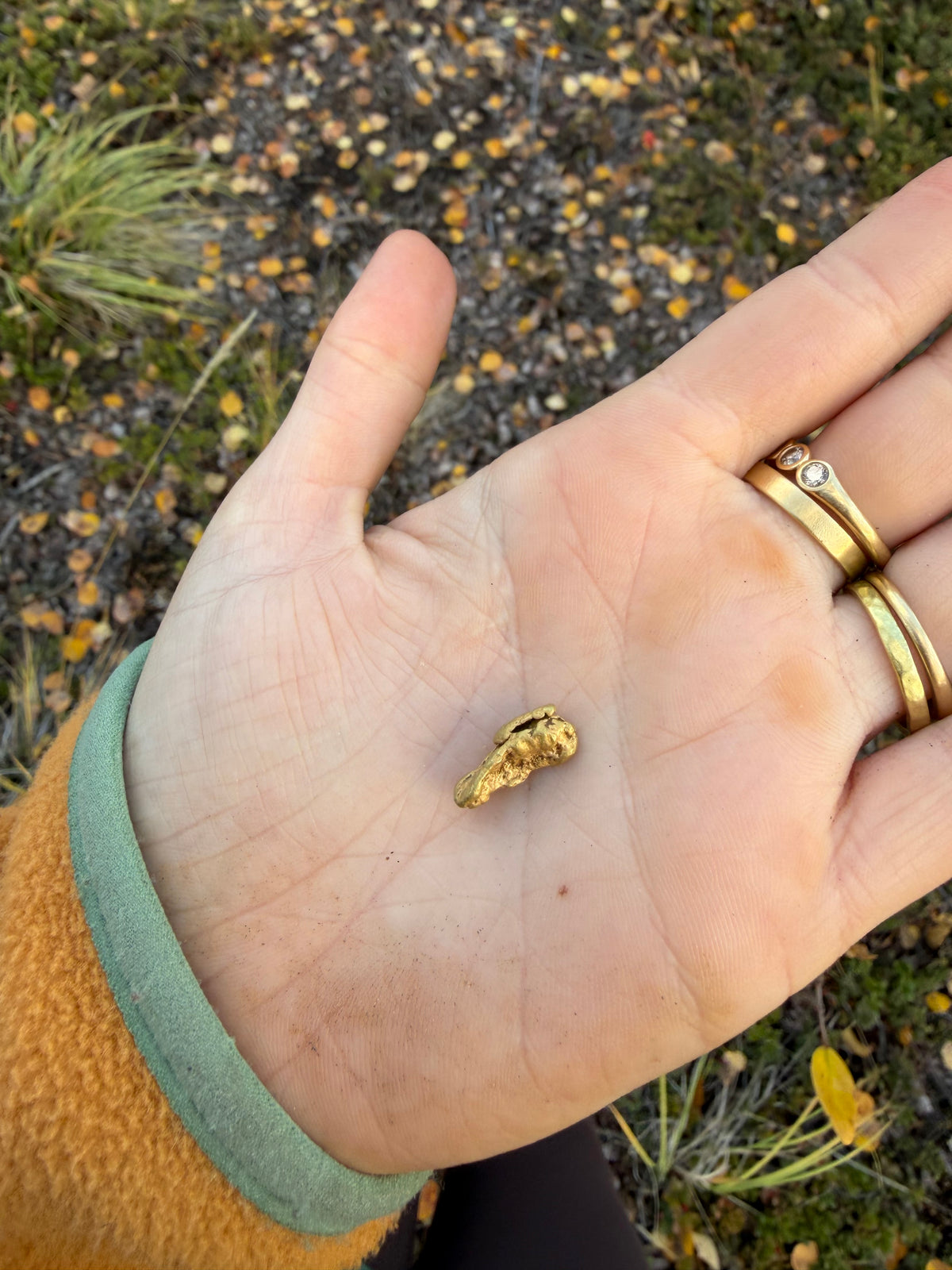 3.7 gram Klondike Gold Nugget - September Drop — 3.7 g natural gold nugget