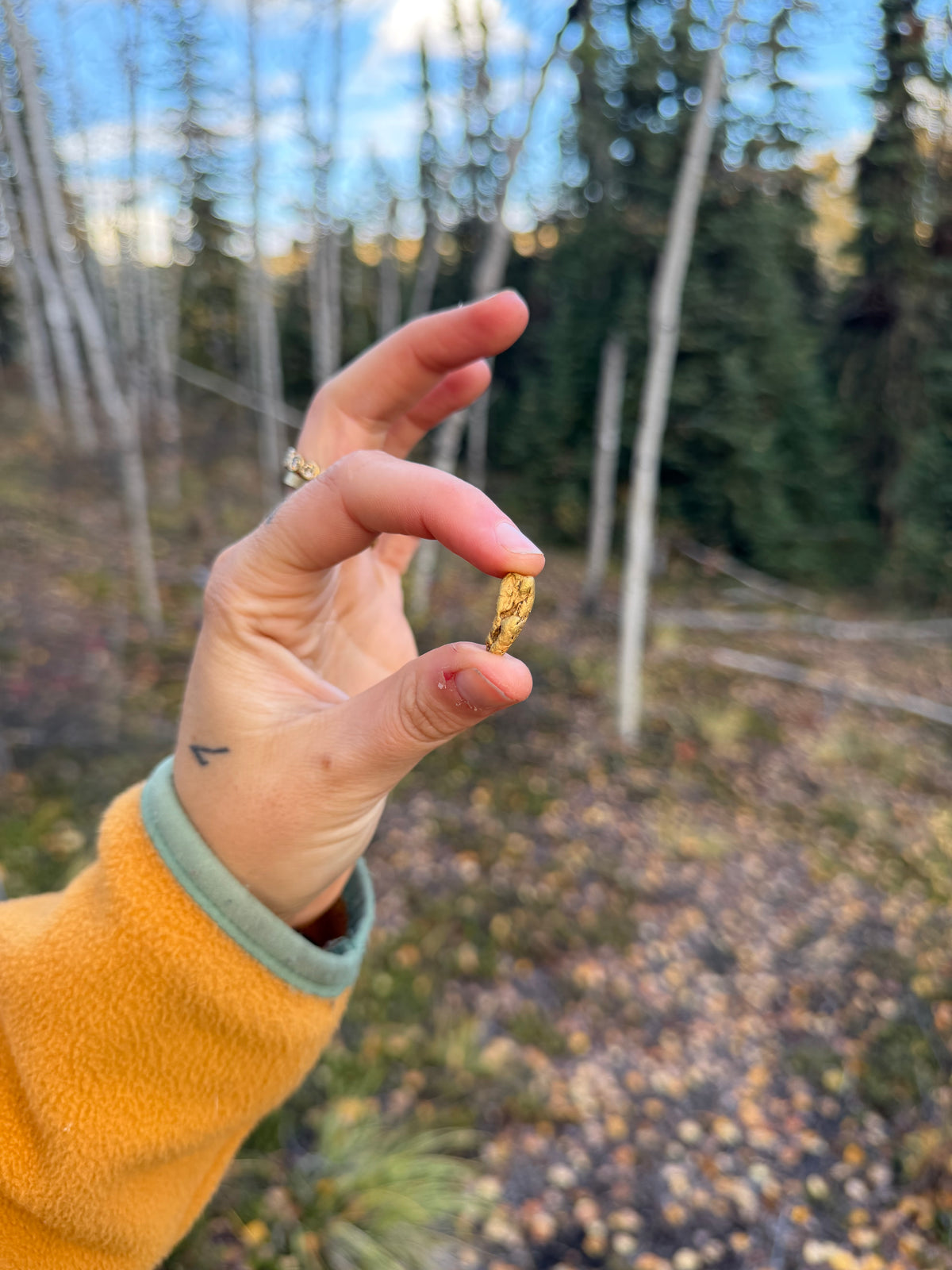 3.7 gram Klondike Gold Nugget - September Drop — 3.7 g natural gold nugget