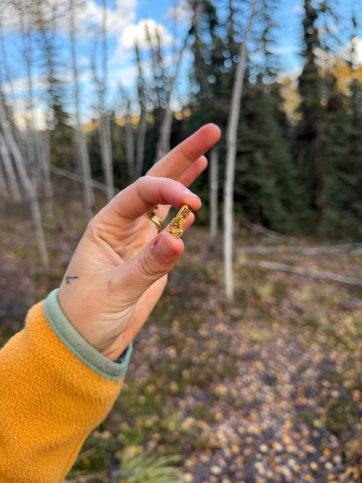 3.7 gram Klondike Gold Nugget - September Drop — 3.7 g natural gold nugget