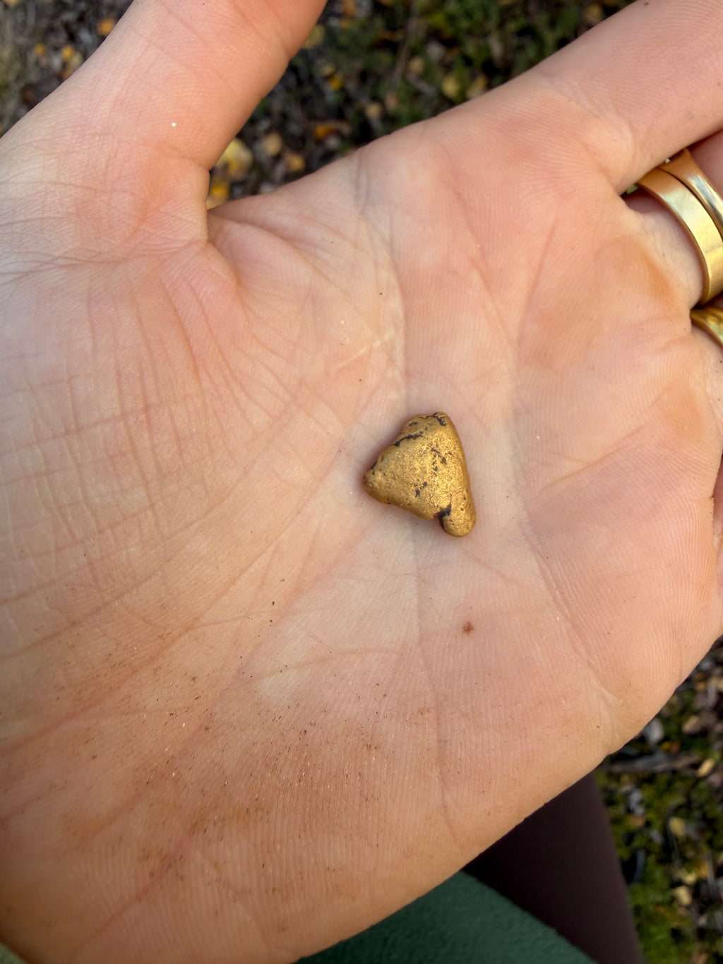 4.9 gram Klondike Gold Nugget - September Drop — 4.9 g natural gold nugget