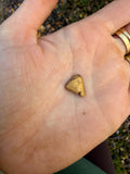 4.9 gram Klondike Gold Nugget - September Drop — 4.9 g natural gold nugget