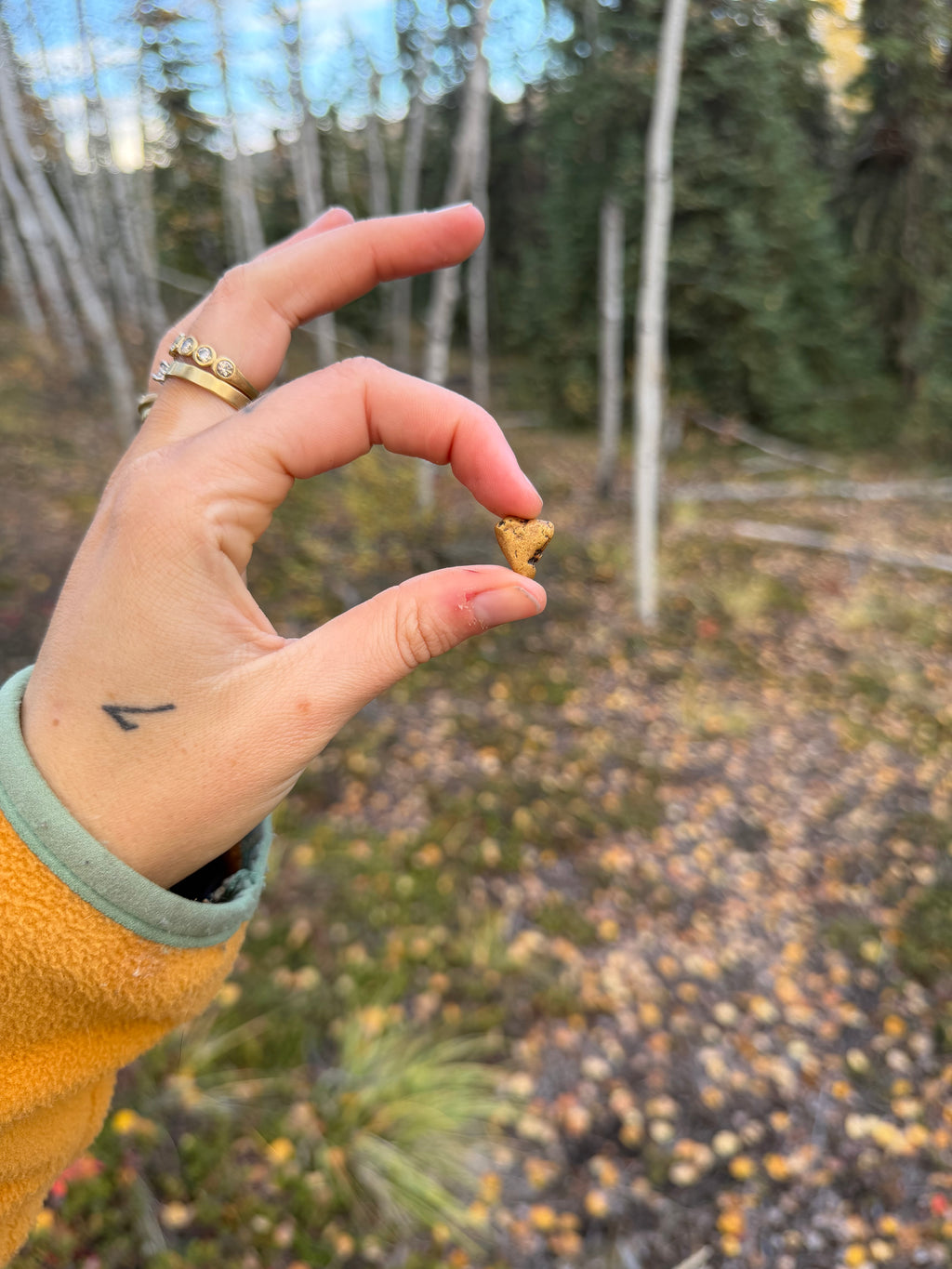 4.9 gram Klondike Gold Nugget - September Drop — 4.9 g natural gold nugget