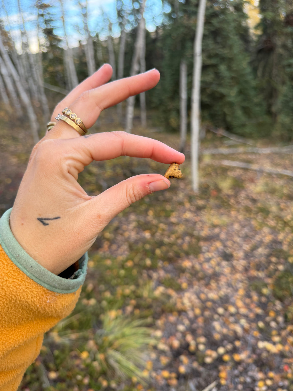 4.9 gram Klondike Gold Nugget - September Drop — 4.9 g natural gold nugget