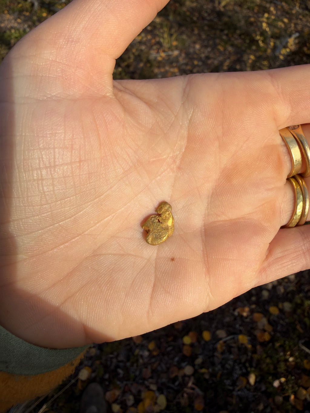 2 gram Klondike Gold Nugget - September Drop — 2 g natural gold nugget