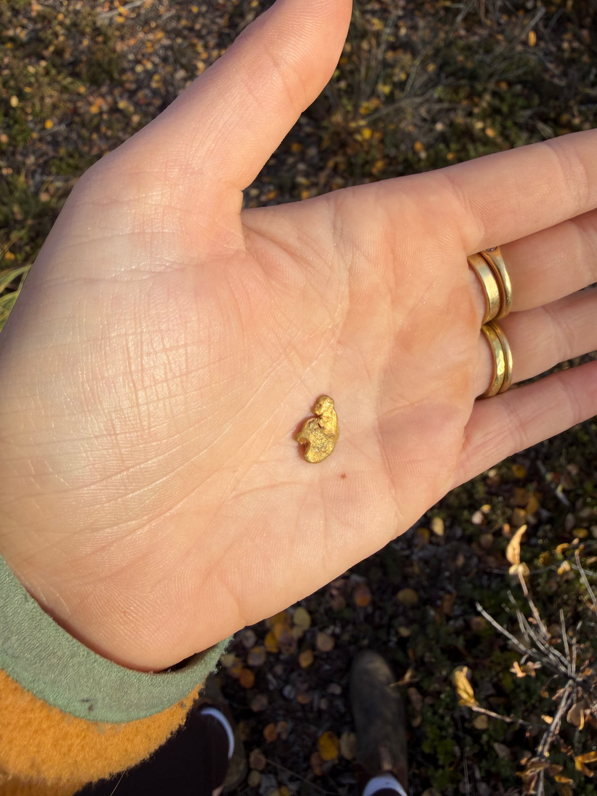 2 gram Klondike Gold Nugget - September Drop — 2 g natural gold nugget