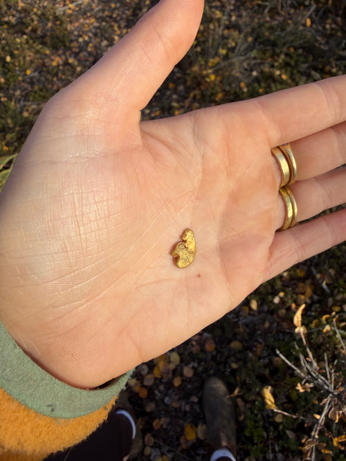 2 gram Klondike Gold Nugget - September Drop — 2 g natural gold nugget