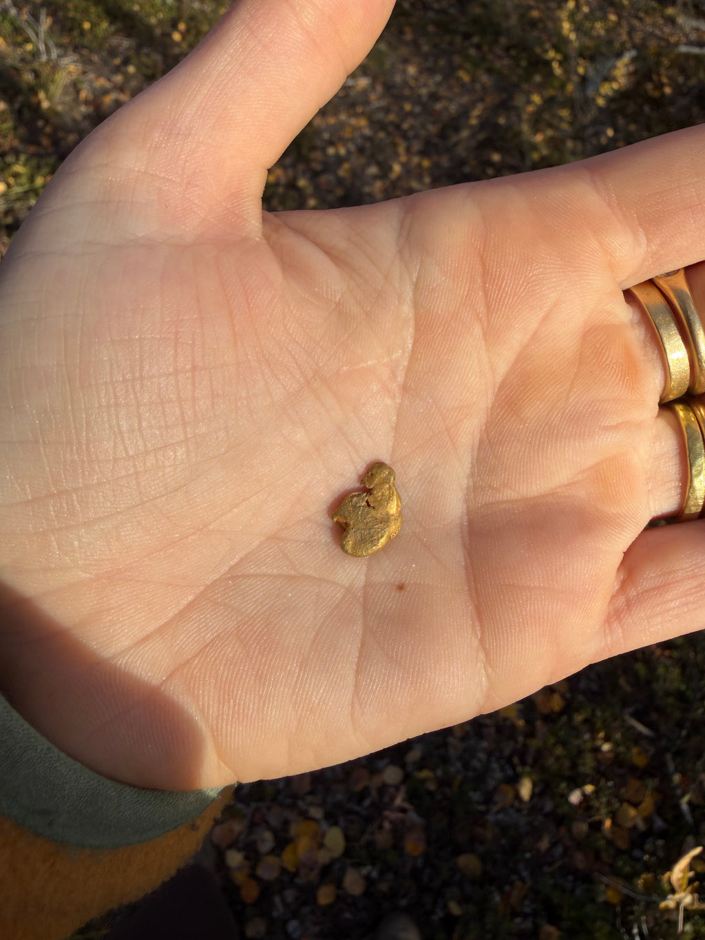 2 gram Klondike Gold Nugget - September Drop — 2 g natural gold nugget