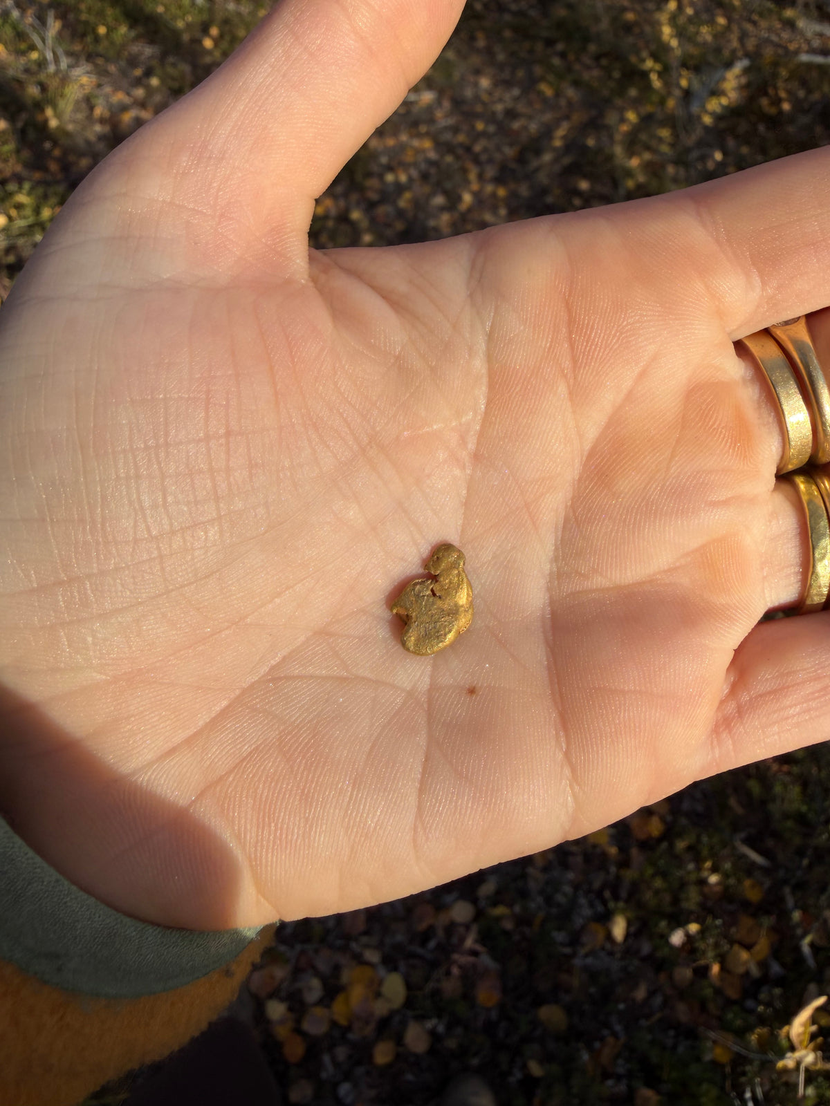 2 gram Klondike Gold Nugget - September Drop — 2 g natural gold nugget