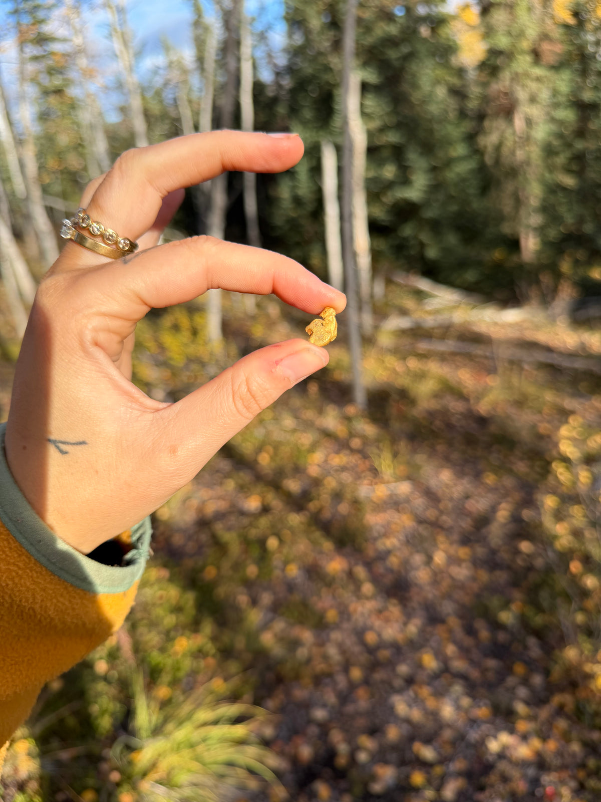 2 gram Klondike Gold Nugget - September Drop — 2 g natural gold nugget