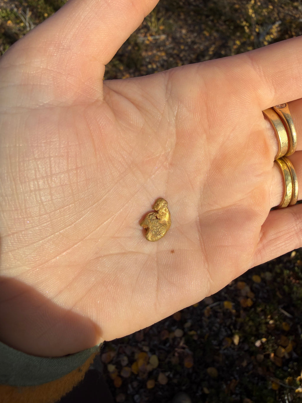 2 gram Klondike Gold Nugget - September Drop — 2 g natural gold nugget