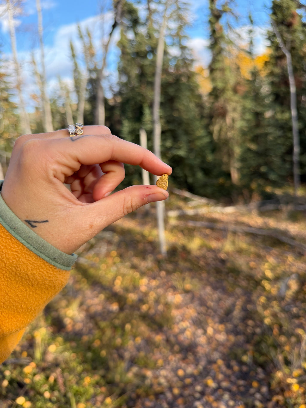2 gram Klondike Gold Nugget - September Drop — 2 g natural gold nugget