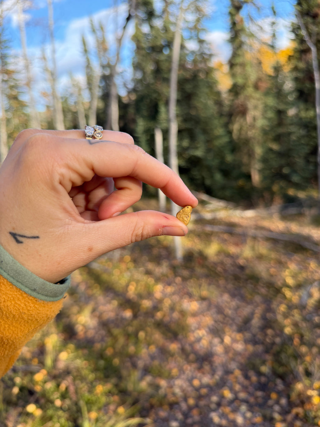 2 gram Klondike Gold Nugget - September Drop — 2 g natural gold nugget