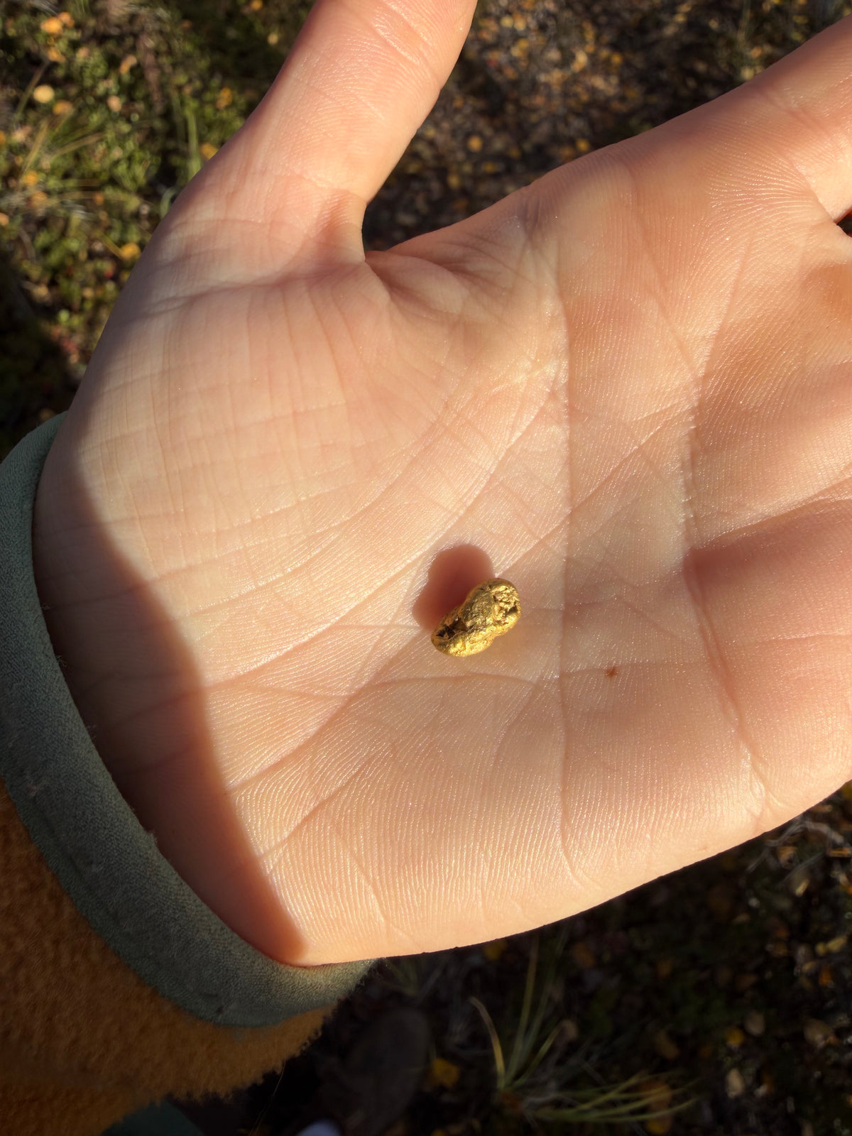 2 gram Klondike Gold Nugget - September Drop — 2 g natural gold nugget