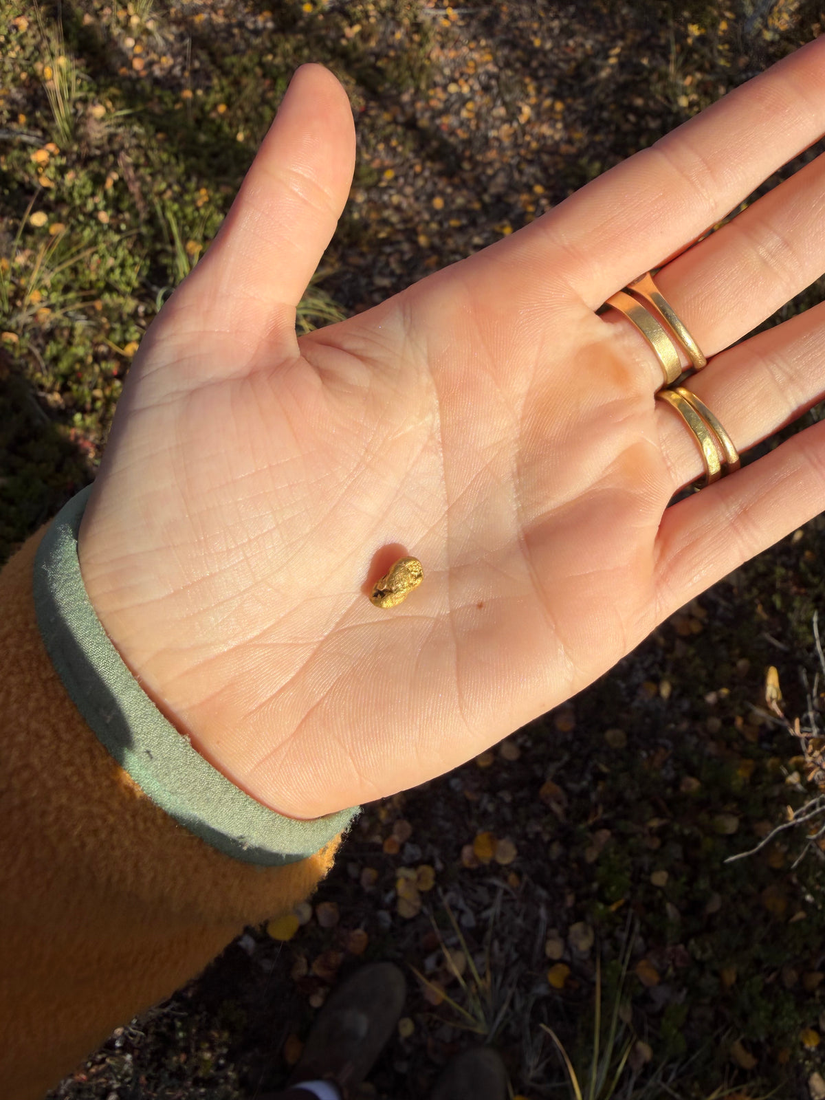 2 gram Klondike Gold Nugget - September Drop — 2 g natural gold nugget