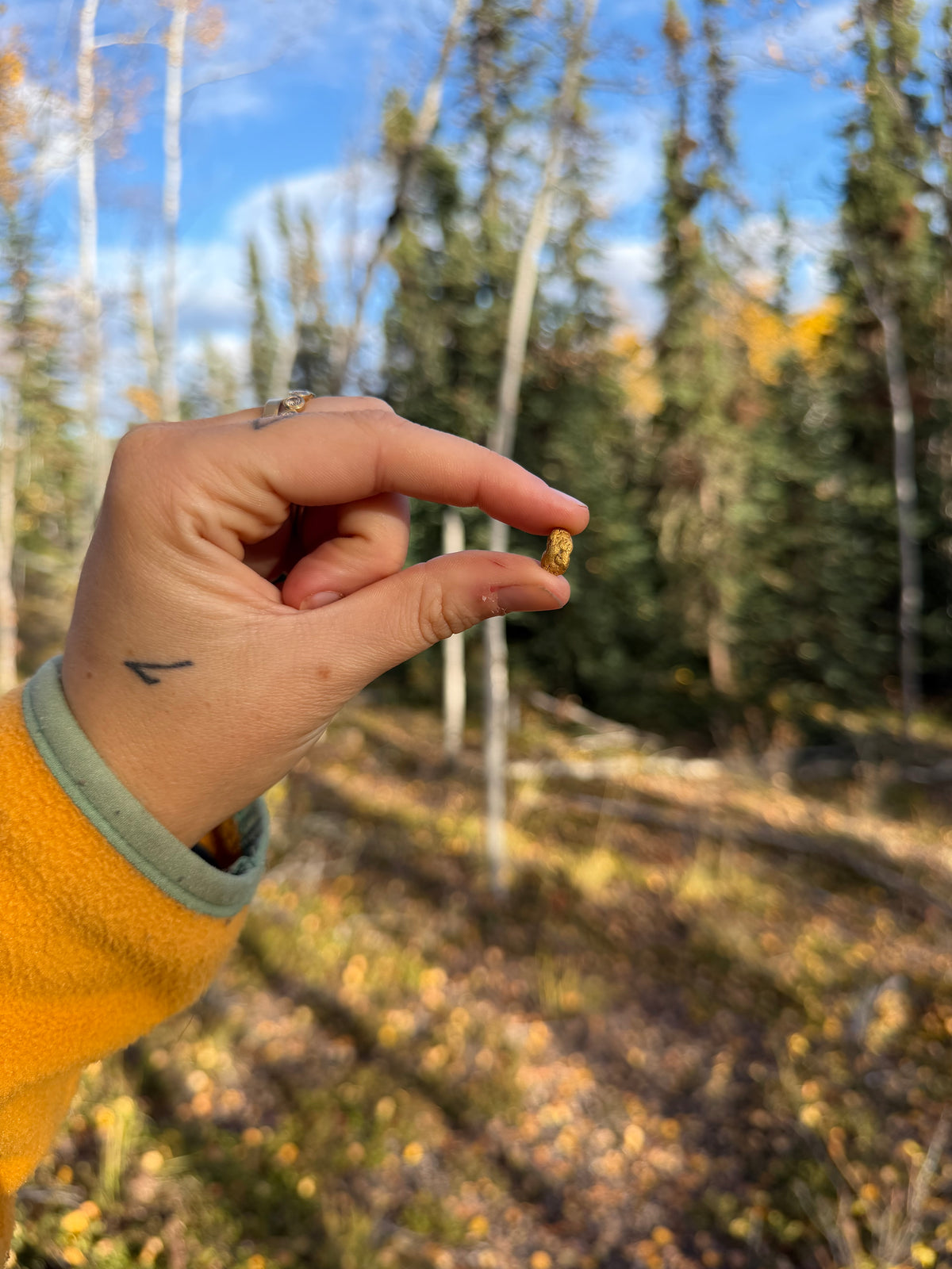 2 gram Klondike Gold Nugget - September Drop — 2 g natural gold nugget