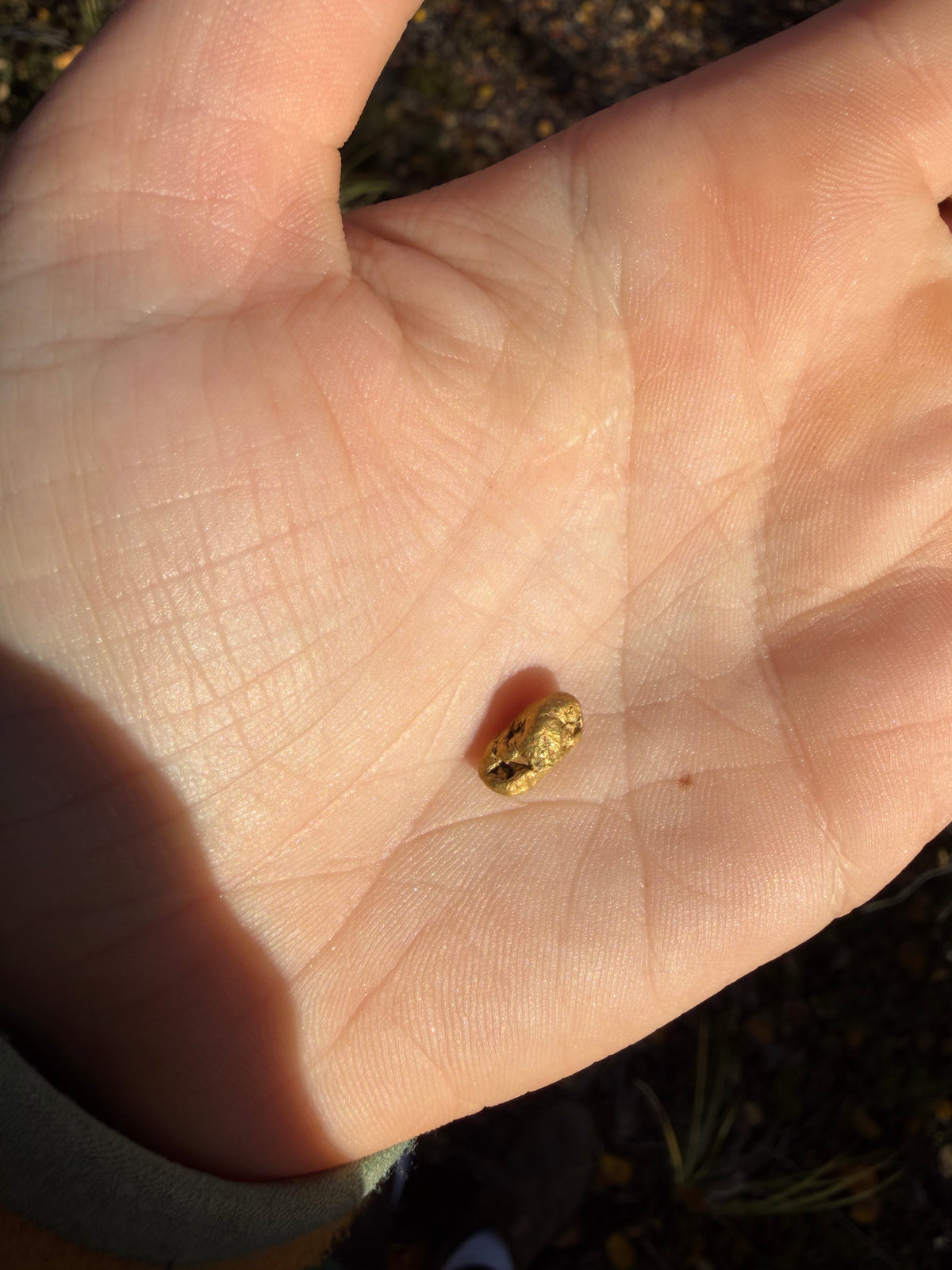 2 gram Klondike Gold Nugget - September Drop — 2 g natural gold nugget
