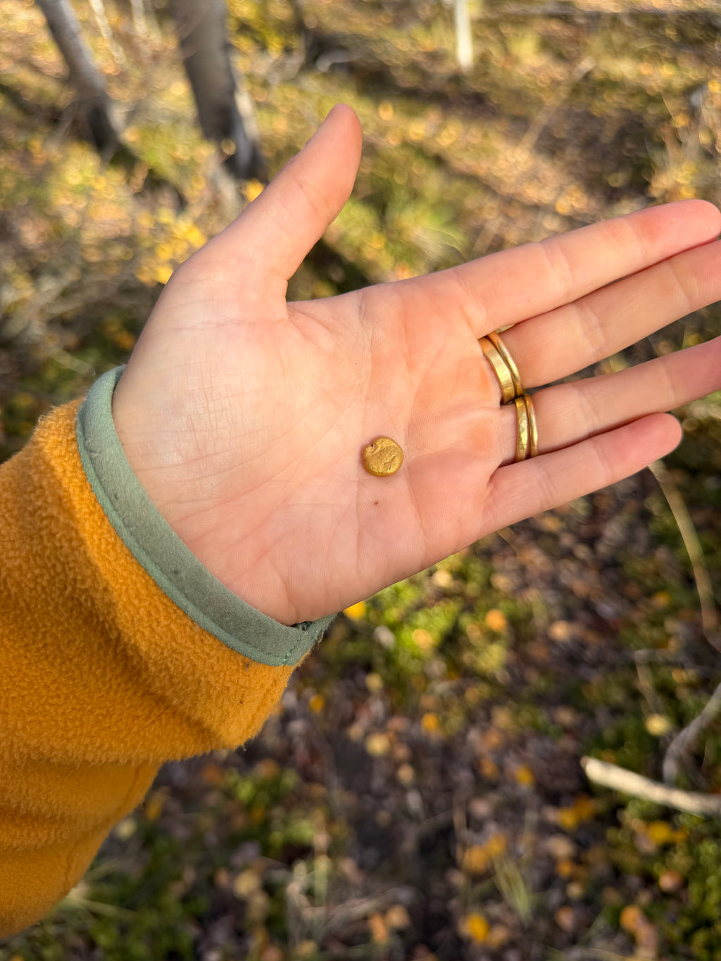 3.5 gram Klondike Gold Nugget - September Drop — 3.5 g natural gold nugget