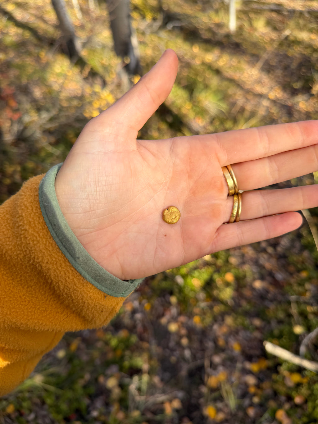 3.5 gram Klondike Gold Nugget - September Drop — 3.5 g natural gold nugget