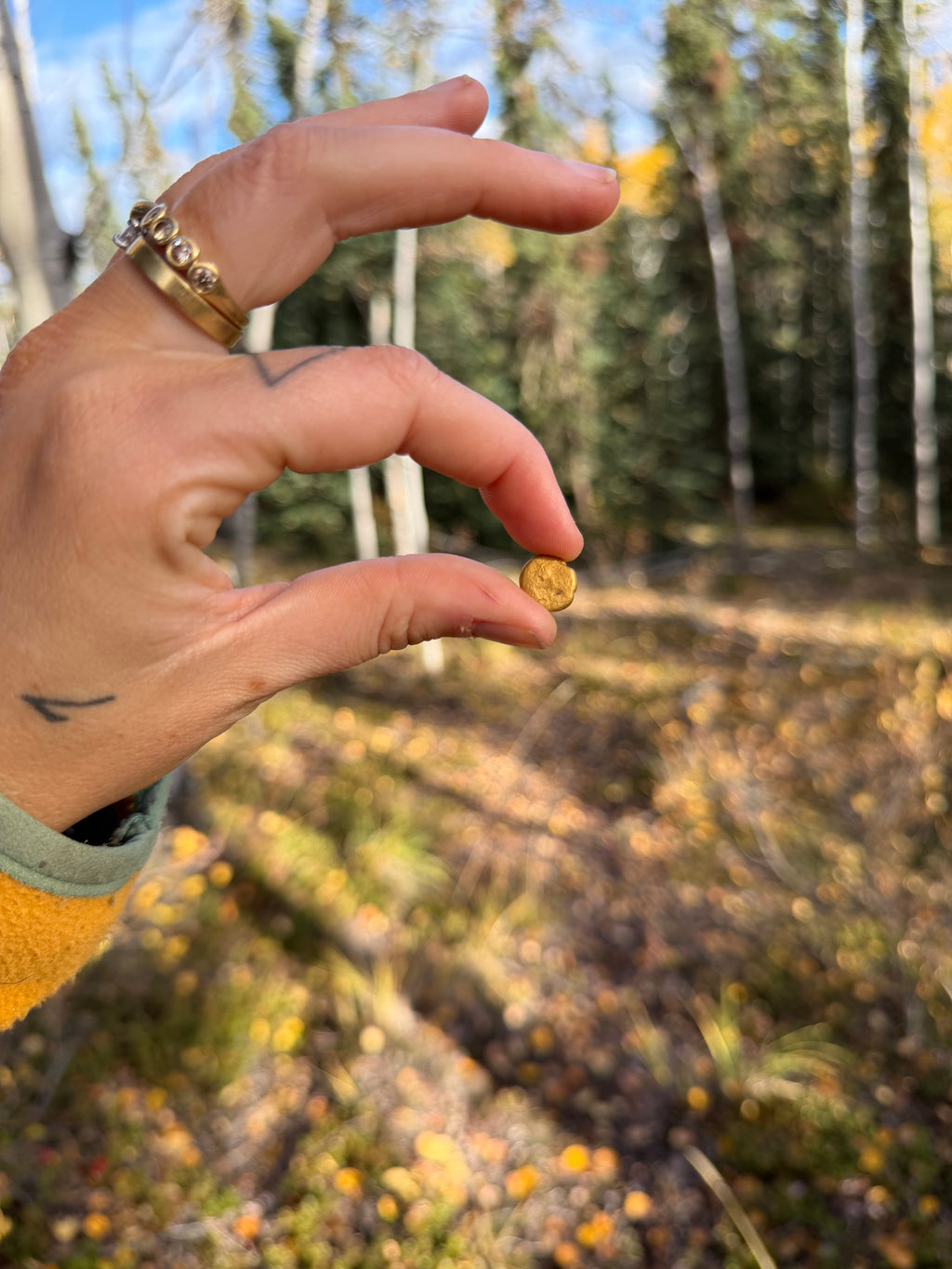 3.5 gram Klondike Gold Nugget - September Drop — 3.5 g natural gold nugget